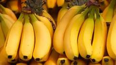 દરરોજ બે કેળા ખાવાથી શરીરમાં થશે આ ગજબના ફાયદાઓ, જાણી લો