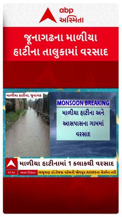 Junagadh Rain : જૂનાગઢના માળીયા હાટીનામાં ધોધમાર વરસાદ