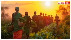 కుమ్రమ్‌ భీమ్‌ అసిఫాబాద్ జిల్లా రైతులకు బిగ్ అలర్ట్‌- వ్యవసాయ పరికరాలకు దరఖాస్తు చేశారా?