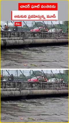 చాదర్ ఘాట్ వంతెనను ఆనుకుని ప్రవహిస్తున్న మూసీ