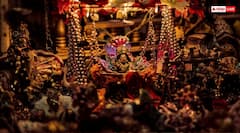 Janmashtami 2025: कृष्ण जन्माष्टमी पर घर में इन स्थानों पर रखें मोर पंख, बढ़ेगा सौभाग्य आएगी सुख-शांति