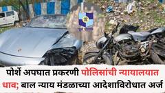 पोर्शे अपघात प्रकरणी पोलिसांची न्यायालयात धाव; बाल न्याय मंडळाच्या आदेशाविरोधात अर्ज, अल्पवयीन चालकाचा गुन्हा निर्घृणच... नेमकं काय प्रकरण?