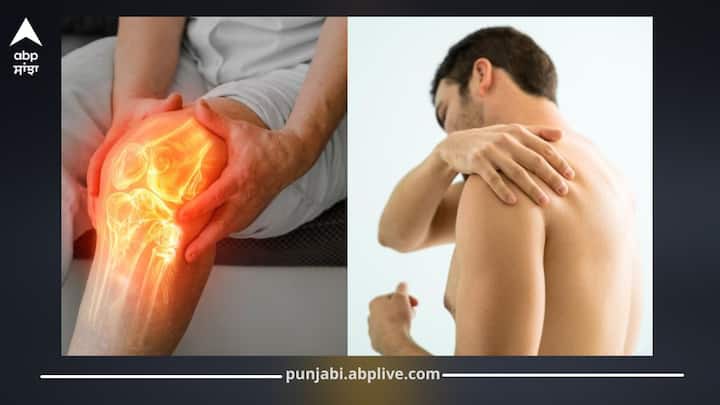 ਉਮਰ ਦੇ ਨਾਲ ਹੱਡੀਆਂ ਕਮਜ਼ੋਰ ਹੋਣਾ ਆਮ ਹੈ, ਪਰ ਅੱਜਕੱਲ੍ਹ ਨੌਜਵਾਨਾਂ ਵਿੱਚ ਵੀ ਇਹ ਸਮੱਸਿਆ ਵਧ ਰਹੀ ਹੈ। ਗੈਰ-ਸਿਹਤਮੰਦ ਜੀਵਨ ਸ਼ੈਲੀ, ਪੋਸ਼ਣ ਦੀ ਘਾਟ ਅਤੇ ਕਸਰਤ ਨਾ ਕਰਨ ਕਾਰਨ ਹੱਡੀਆਂ ਕਮਜ਼ੋਰ ਹੋ ਜਾਂਦੀਆਂ ਹਨ।