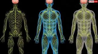 ਨਸਾਂ 'ਚ ਬਲਾਕੇਜ ਹੋਣ 'ਤੇ ਨਜ਼ਰ ਆਉਂਦੇ ਆਹ ਲੱਛਣ, ਇਨ੍ਹਾਂ ਨੁਸਖਿਆਂ ਨਾਲ ਤੁਰੰਤ ਪਾਓ ਆਰਾਮ