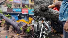 दिल्ली: बारिश के दौरान पेड़ गिरने से हुई शख्स की मौत, अब CM रेखा गुप्ता ने उठाया बड़ा कदम