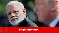 নোবেল শান্তি পুরস্কারের জন্য নাম পাঠালেই ফাঁড়া কেটে যাবে? শুল্ক নিয়ে মোদিকে পরামর্শ একদা ট্রাম্প-ঘনিষ্ঠের