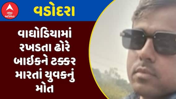 Vadodara Cattle Issue : વાઘોડિયામાં રખડતા ઢોરે બાઇકને ટક્કર મારતાં યુવકનું મોત