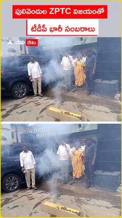 పులివెందుల జెడ్పీటీసీ విజయంతో టీడీపీ భారీ సంబరాలు