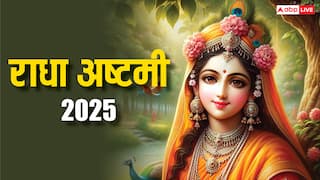 Radha Ashtami 2025: आज राधा अष्टमी, शीघ्र विवाह और वैवाहिक सुख पाने के लिए करें ये उपाय