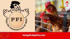 মাংস বিক্রিতেও এবার ‘ড্রাই ডে’? ১৫ অগাস্টের নির্দেশিকা ঘিরে বিতর্কের মধ্যে নতুন ক্যালেন্ডার প্রকাশের দাবি