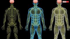 नसों में ब्लॉकेज होने पर दिखते हैं ये 6 लक्षण, इन नुस्खों से तुरंत पाएं आराम