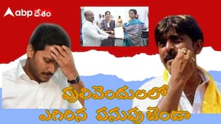 TDP Win in Pulivendula ZPTC: జగన్ ఇలాకాలో జెండా పాతిన టీడీపీ.. పులివెందులలో పసుపు పతాక...!