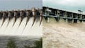 Dam Water Maharshtra: उजनी फुल्ल, गोसेखुर्द धरणाचे 19 दरवाजे उघडले; मराठवाड्यासह पुण्यातील धरणांमध्ये किती पाणी ?