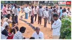 మంచిర్యాల జిల్లాలో ఎరువుల కష్టాలు- యూరియా కోసం రైతుల బారులు- ప్రభుత్వంపై బీఆర్‌ఎస్‌ ఫైర్