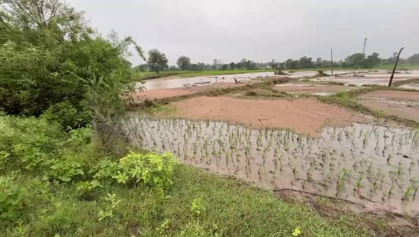 Vikarabad Weather Report: వికారాబాద్ జిల్లాలో హైఅలర్ట్- అవసరమైతే తప్ప బయటకు రావద్దని అధికారుల సూచన