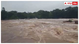 Vikarabad Weather Report: వికారాబాద్ జిల్లాలో హైఅలర్ట్- అవసరమైతే తప్ప బయటకు రావద్దని అధికారుల సూచన