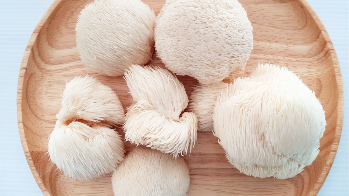 (Image Source: Pinterest/mushroom_revival)