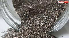 क्या पानी की जगह दही में ज्यादा फायदा देते हैं चिया सीड्स? एक्सपर्ट्स ने बताई फायदे की बात