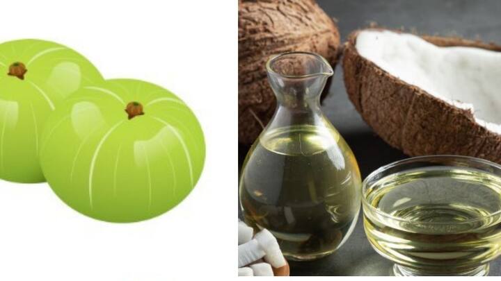 आंवला और नारियल तेल: आंवला बालों के लिए प्राकृतिक टॉनिक है और नारियल तेल के साथ मिलकर यह बालों को काला करने और मजबूती देने में मदद करता है. आंवला पाउडर को नारियल तेल में उबालकर ठंडा करें और हफ्ते में 2–3 बार बालों में मसाज करें.