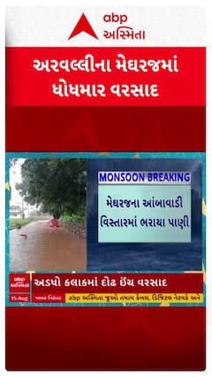 Arvalli Rain : અરવલ્લીના મેઘરજમાં અડધો કલાજમાં ખાબક્યો 1.5 ઇંચ વરસાદ, રસ્તા પર ફરી વળ્યા પાણી