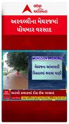 Arvalli Rain : અરવલ્લીના મેઘરજમાં અડધો કલાજમાં ખાબક્યો 1.5 ઇંચ વરસાદ, રસ્તા પર ફરી વળ્યા પાણી