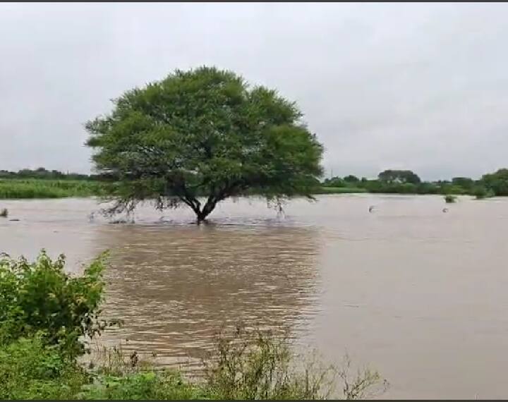 धाराशिव जिल्ह्यातील मांजरा नदीला आलेल्या पुरामुळे भीषण घटना घडली आहे. सुबराव शंकर लांडगे (वय 65, व्यवसाय – शेतकरी) हे नदीवरील पुलावरून जात असताना पाय घसरल्याने थेट पुराच्या पाण्यात पडले आणि वाहून गेले.