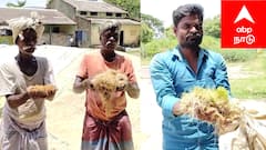 மழையால் நனைந்த நெல் மணிகள்.. கலக்கத்தில் விவசாயிகள்.. கருணை காட்டுமா அரசு...?