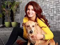 बॉलीवुड के इन सेलेब्स ने स्ट्रीट डॉग्स को गोद लेकर दिया उन्हें नया जीवन, बनाया अपने परिवार का अहम हिस्सा