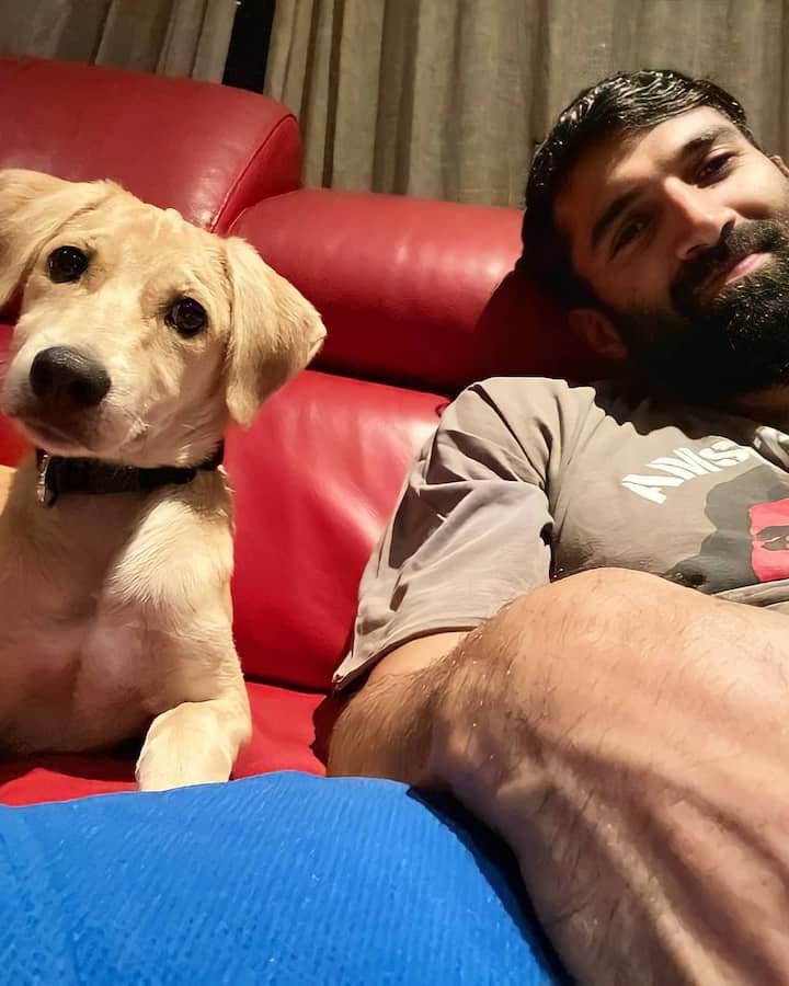 आदित्य रॉय कपूर का नाम भी इस लिस्ट में शुमार है. उन्होंने अपने फॉर्महाउस के पास से एक स्ट्रीट डॉग को रेस्क्यू किया था.