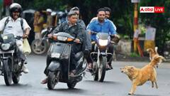 बाइक या कार के ही पीछे क्यों भागते हैं कुत्ते, क्या आप जानते हैं ये बात?