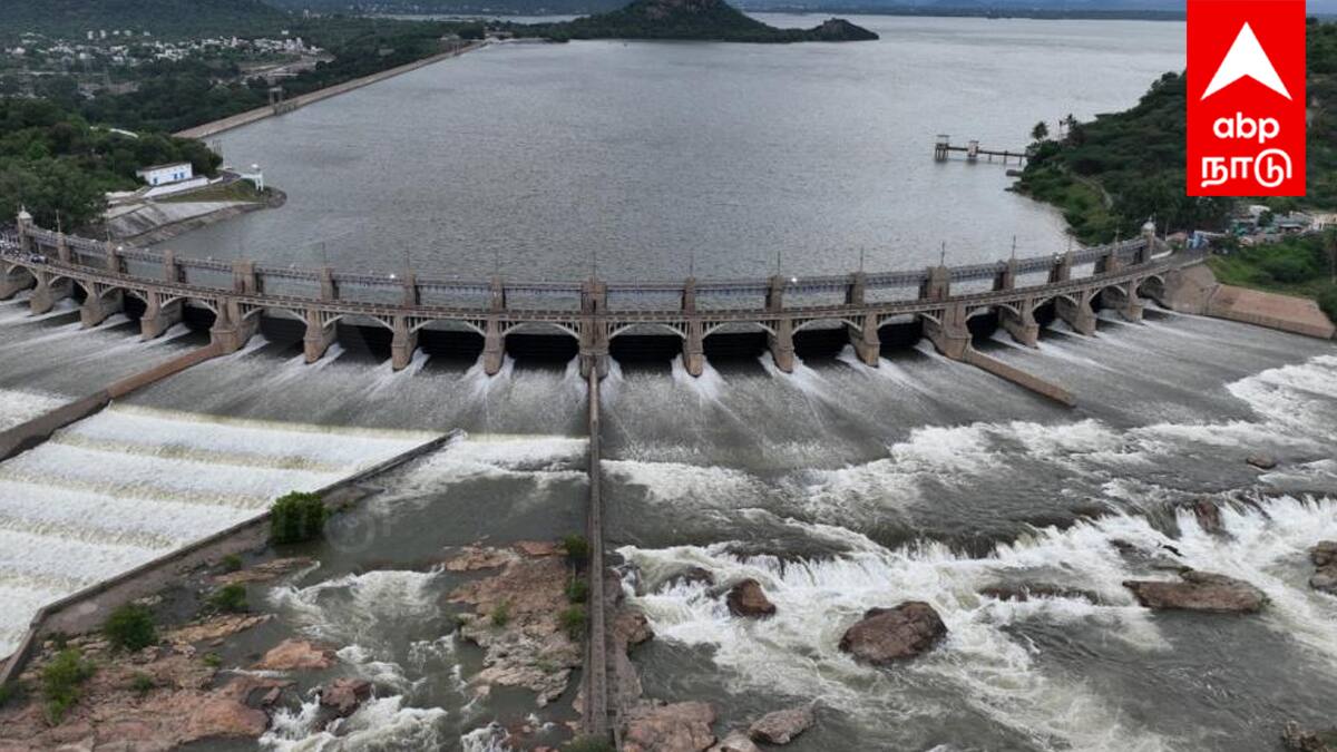 Mettur Dam: மேட்டூர் அணை நீர்மட்டம் சரிவு! ஒகேனக்கல்லில் நீர்வரத்து குறைவு... இன்றைய நிலவரம் இதோ !