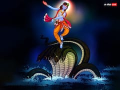 Janmashtami 2025: जन्माष्टमी पर ज्वालामुखी और राजराजेश्वर राजयोग, इन राशियों का शुरू होगा गोल्डन टाइम