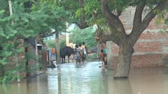 फर्रुखाबाद में खतरे के निशान से 40 सेंटीमीटर ऊपर पहुंचा गंगा का जलस्तर, बाढ़ की चपेट में 100 गांव