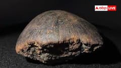 कहां गिरते हैं सबसे ज्यादा उल्का पिंड, वजह जानकर हो जाएंगे हैरान