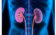 Kidney Health: ਕਿਡਨੀ ਫੇਲ੍ਹ ਹੋਣਾ ਮੌਤ ਵੱਲ ਇਸ਼ਾਰਾ, ਜਾਣੋ ਸਕਿਨ 'ਤੇ ਨਜ਼ਰ ਆਉਣ ਵਾਲੇ ਕਿਹੜੇ ਲੱਛਣ ਜਾਨਲੇਵਾ?