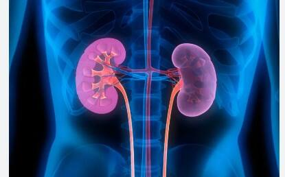 ਪਰ ਜਦੋਂ ਇਹ ਸਹੀ ਢੰਗ ਨਾਲ ਕੰਮ ਕਰਨਾ ਬੰਦ ਕਰ ਦਿੰਦਾ ਹੈ, ਤਾਂ ਇਸਦਾ ਪ੍ਰਭਾਵ ਪੂਰੇ ਸਰੀਰ 'ਤੇ ਦਿਖਾਈ ਦੇਣਾ ਸ਼ੁਰੂ ਹੋ ਜਾਂਦਾ ਹੈ ਅਤੇ ਸਭ ਤੋਂ ਪਹਿਲਾਂ ਚਿਹਰੇ 'ਤੇ ਦਿਖਾਈ ਦਿੰਦਾ ਹੈ। ਜੇਕਰ ਤੁਸੀਂ ਸਮੇਂ ਸਿਰ ਚਿਹਰੇ 'ਤੇ ਇਨ੍ਹਾਂ ਤਬਦੀਲੀਆਂ ਨੂੰ ਪਛਾਣ ਲੈਂਦੇ ਹੋ, ਤਾਂ ਤੁਸੀਂ ਤੁਰੰਤ ਇਲਾਜ ਸ਼ੁਰੂ ਕਰ ਸਕਦੇ ਹੋ।