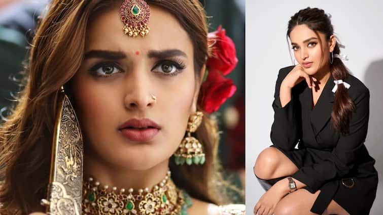 Nidhhi Agerwal Birthday Special: टाइगर श्रॉफ की हीरोइन बनने के लिए एक्ट्रेस ने दी थी 300 से ज्यादा लड़कियों को मात