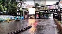 Mumbai Rain : मुंबईत पावसाची संततधार, रस्त्यांना नदी नाल्याचं स्वरूप; मुंबईकरांनो गरज असेल तरच घराबाहेर पडा