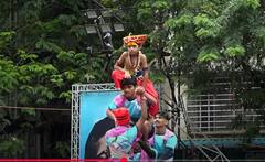 Dahihandi 2025: गोविंदा आला रे! ठाण्यामध्ये मनसेच्या दहीहंडीचा एकच जल्लोष, भर पावसात थरांवर थर...