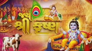 Janmashtami Celebration : દેશભરમાં કૃષ્ણ જન્માષ્ટમીની ધામધૂમથી ઉજવણી, મંદિરોમાં ઉમટી ભક્તોની ભીડ