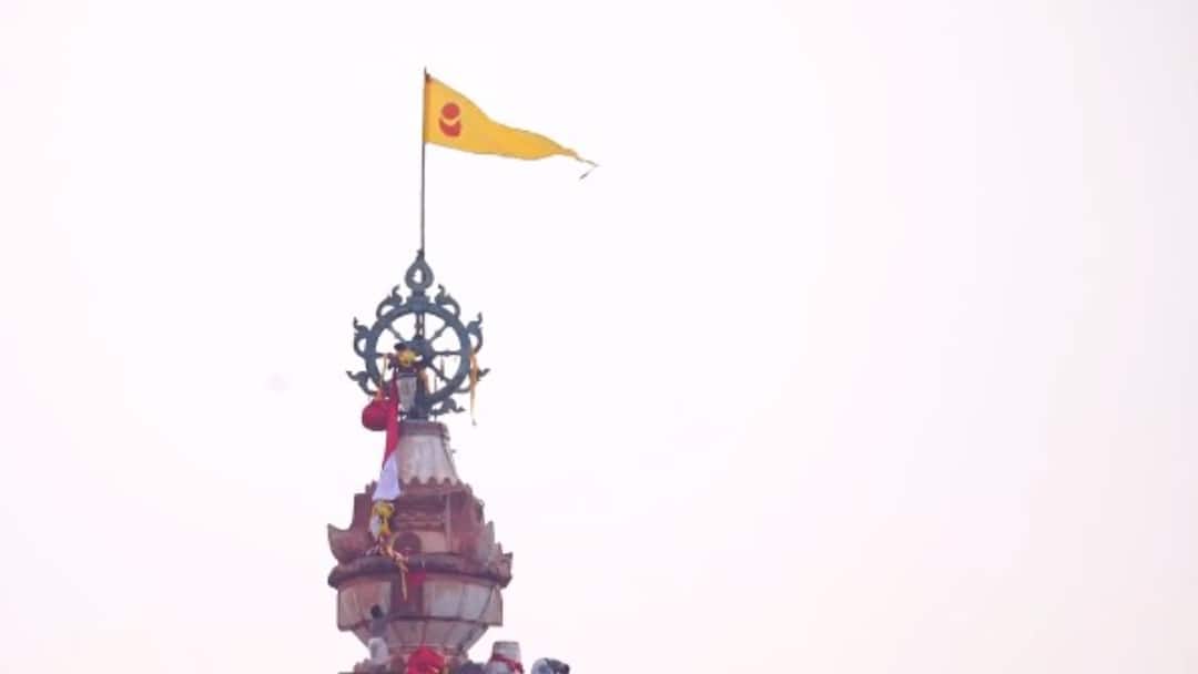 Ranchi Man Detained After Attempt To Scale Jagannath Temple In Puri