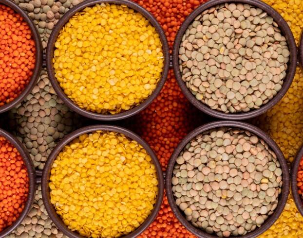 दाल का सेवन: चना, मसूर, मूंग और राजमा जैसी दालें प्रोटीन और फाइबर का बेहतरीन स्रोत हैं. ये पचने में समय लेती हैं, जिससे ब्लड शुगर लेवल कंट्रोल रहता है. लंच या डिनर में एक कटोरी दाल ज़रूर शामिल करें.