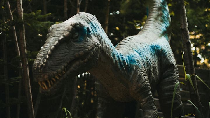 1908 की तुंगुस्का घटना (रूस) या 2013 में रूस के चेल्याबिंस्क में हुआ विस्फोट. इन घटनाओं से पता चलता है कि उल्का पिंड पृथ्वी के लिए खतरा भी बन सकते हैं. वैज्ञानिकों का मानना है कि 6.5 करोड़ साल पहले मेक्सिको में गिरा उल्का पिंड डायनासोर के विलुप्त होने का कारण बना.