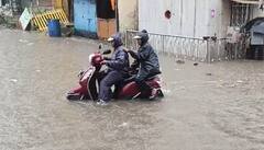 Gujarat Rain: અમદાવાદ પૂર્વમાં ધોધમાર વરસાદ શરૂ, નરોડાથી મણીનગર સુધી ઠેર-ઠેર ભરાયા પાણી