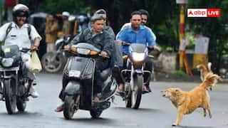 General Knowledge: બાઇક કે કાર પાછળ કેમ દોડે છે કૂતરાઓ, શું તમે જાણો છો તેની પાછળનું કારણ?