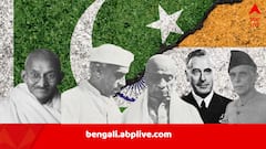 ‘দেশভাগের অপরাধী’ কারা? নেহরু-মহাত্মাকে নিয়ে অপতথ্য? ভুল ইতিহাস পড়ানোর অভিযোগ, ফের বিতর্কে NCERT