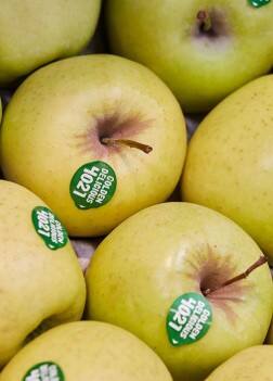 ਫਲਾਂ ‘ਤੇ ਲੱਗੇ ਸਟਿੱਕਰ: ਜਾਣੋ ਮਕਸਦ ਅਤੇ ਗੁਣ