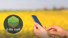 E-Peek Pahani: शेतकऱ्यांसाठी महत्वाची बातमी! ई-पीक पाहणी कशी करायची? शेवटची तारीख किती?