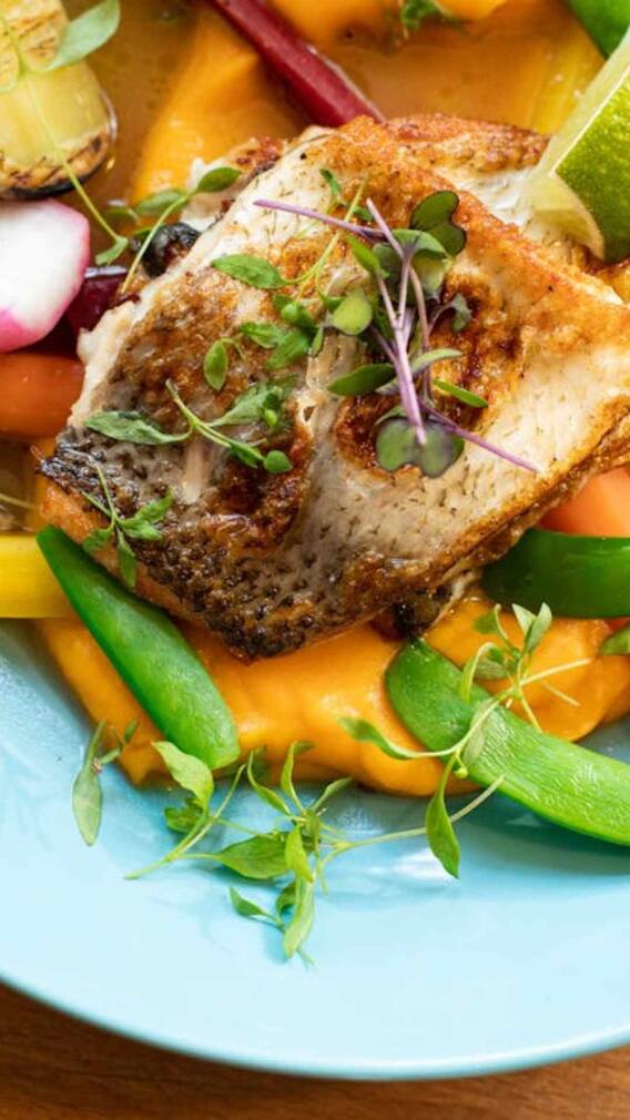 பால் உடன் மீன் சாப்பிட்டால் சருமப் பிரச்னை வருமா?