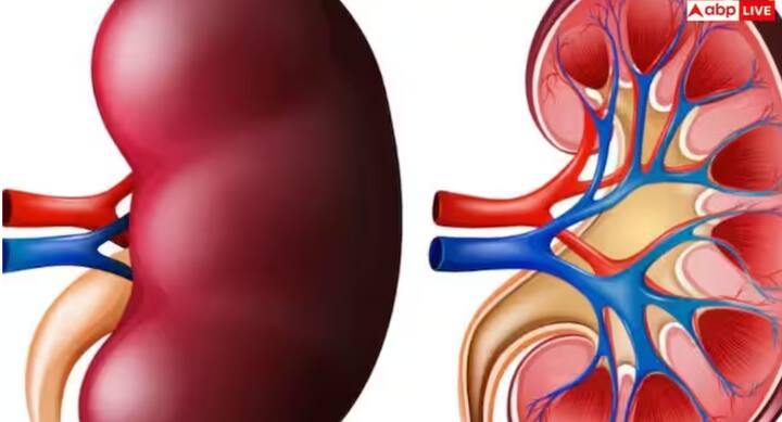 ਜਦੋਂ ਗੁਰਦੇ ਵਿੱਚ ਸੋਜ ਹੁੰਦੀ ਹੈ, ਤਾਂ ਸਰੀਰ ਕਈ ਸੰਕੇਤ ਦਿੰਦਾ ਹੈ। ਅੱਖਾਂ ਵਿੱਚ ਸੋਜ, ਪੈਰਾਂ ਵਿੱਚ ਸੋਜ, ਥਕਾਵਟ ਅਤੇ ਸਾਹ ਚੜ੍ਹਨਾ ਵਰਗੇ 6 ਸ਼ੁਰੂਆਤੀ ਲੱਛਣ ਨਜ਼ਰ ਆ ਸਕਦੇ ਹਨ।